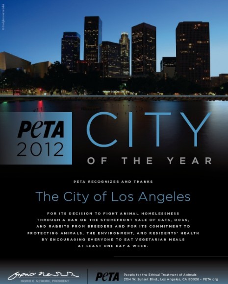 Photo Credit: Peta.org