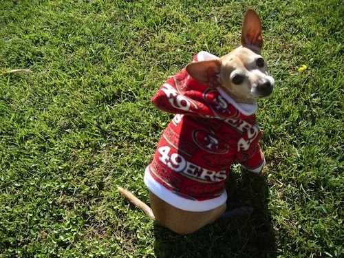 Photo Credit: Etsy.com