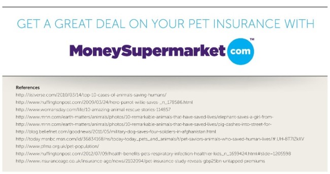 money supermarket pet insurance infographic
