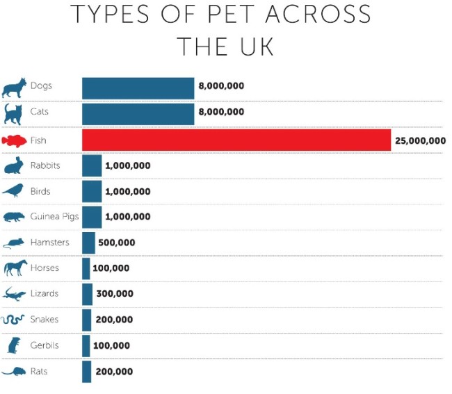 pets across the uk infographic