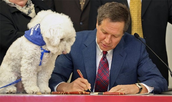 Sammy, a Bichon, watched as Gov. John Kasich signed a bill into law today that establishes new regulations on the care and treatment of animals housed in large-scale establishments. Sammy and her owner, Barbara McKelvey, came down from Wadsworth, Ohio for the signing of the bill. Photo Credit: Kyle Robertson, The Columbus Dispatch