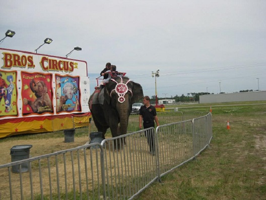 Picture taken by protesters at a Cole Bros. Circus show. Photo Credit: Facebook