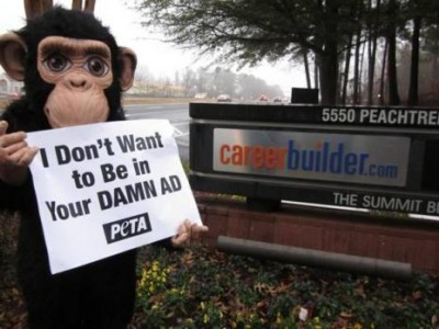PETA has been boycotting the use of chimp "actors" for some time. Photo credit: PETA