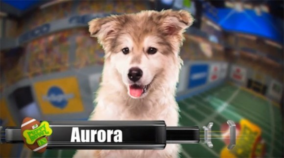 puppy bowl ix