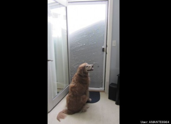 "Now what?"