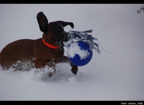 Chester in Westchester