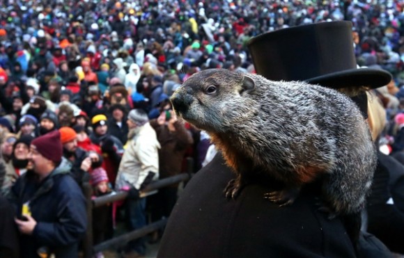 Punxsutawney Phil predicted an early spring for 2016. Photo Credit: Alex Wong / Getty Images