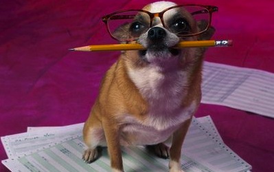Smart Doggie