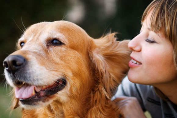 The AHA has proven that pets, especially dogs, are good for your health.