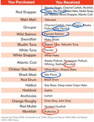 A sample of what you may be eating. Photo Credit: Jacquet and Pauly 2008, Lowenstein et al. 2009, Wong and Hanner 2008, Miller and Mariani 2010, CBC News