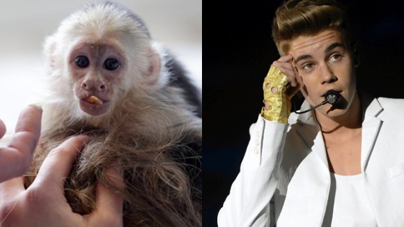 Justin Bieber pet monkey