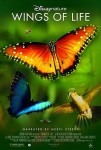Wings of Life theatrical poster