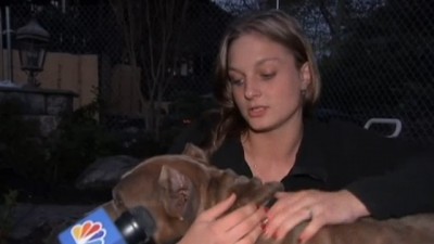 Cain the heroic pit bull rescues woman from house fire Cain the pit bull, with Bonasera's daughter. Photo Credit: NBC