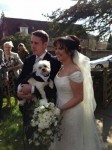 Dog walks down the aisle with bride