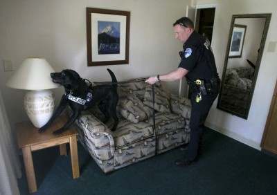 Dusty's highly trained nose sniffs out a wide array of narcotics, but ignores marijuana. Photo Credit: FOX News