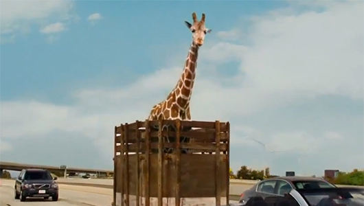 Photo Credit: "The Hangover Part III"