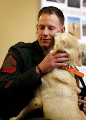Marine Soldier With Dog Marine Sgt. Ross Gundlach Reunited with Golden Lab, Casey. Photo Credit: Charlie Neibergall