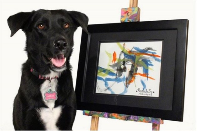 Las Vegas rescue dog, Arbor, paints once again, this time the proceeds will benefit victims of the Oklahoma City tornado. Photo Credit: Facebook