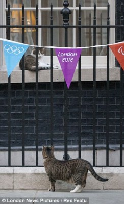 Spy kitty casing the location of her next mission. Photo credit: London News Pictures / Rex Features 