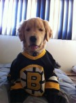 ray charles in bruins jersey
