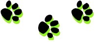 three paw prints rating system