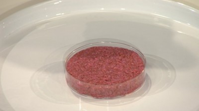 Lab Grown Beef Testers tasted this lab grown beef patty today in London. Photo Credit: Cultured Beef