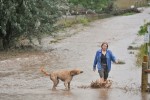 a woman walks with her dog in flooded driveway in Boulder, Colorado