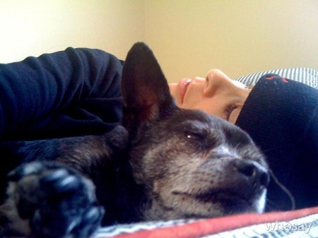 Sarah Silverman with her beloved dog Duck is urging her Twitter fans to help stop elephant abuse and support Los Angeles' bullhook ban./Photo credit: Twitter