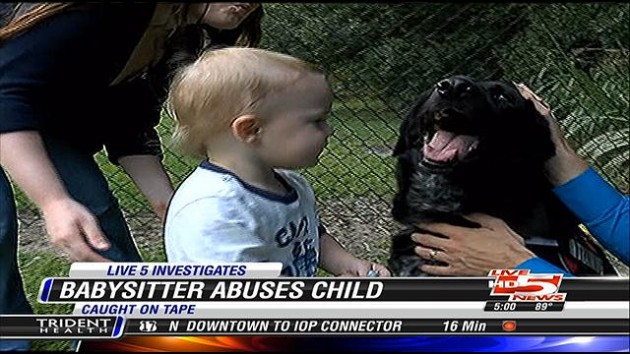Finn Jordan is now safe thanks to his canine companion. Photo Credit: WCSC