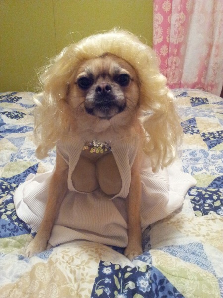 Cabella Markwell from Bremen, KY as Marilyn Monroe.