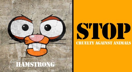Hamstrong's creators look to educate kids on the dangers of animal testing, as well as entertain them. Photo Credit: Hamstrong/Facebook