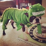 PET HALLOWEEN COSTUMES, COSTUMES FOR DOGS AND PUPPIES, DINOSAUR COSTUME