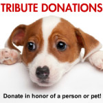 Tribute Donations