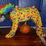 clyde the dog in clown halloween costume
