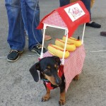 PET HALLOWEEN COSTUME, COSTUMES FOR DOGS AND PUPPIES, HOT DOG COSTUME