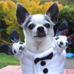 odie devil angel dog halloween costume