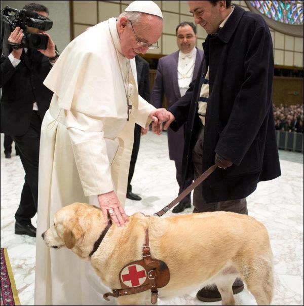 Pope blesses reporters dog. AFP/Getty.