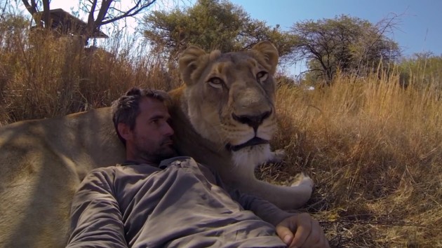 Kevin Richardson is raising awareness about the diminishing numbers of lions.