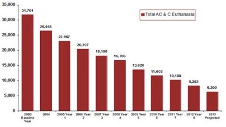 Euthanasia chart of cats and dogs in New York City (PETS) New York City's euthanasia has declined by 80 percent in a decade.