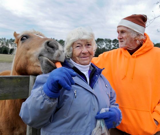 In 1984 Peter and Mary Gregory bought the Mill Creek Farm in Alachua, Fl and created the non-profit organization Retirement Home for Horses, where aging horses can live out there days in tranquility./Photo credit: Beaumontenterprise.com