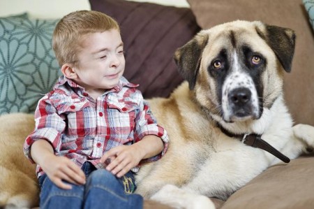 owen and haatchi, boy and dog, dogs, animals, pets, puppies