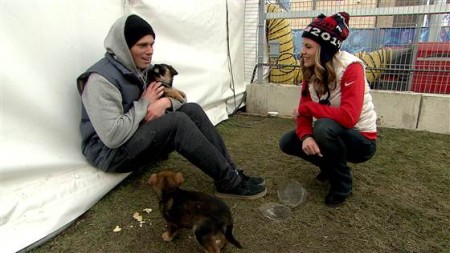 Gus Kenworthy talked to Natalie Morales on TODAY Wednesday about his efforts to rescue stray dogs in Sochi./Photo credit: Today.com