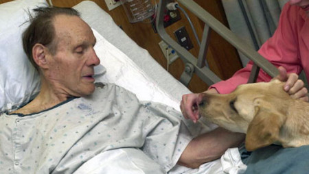 Hospitals that allow pets are actually helping reduce patient stress.