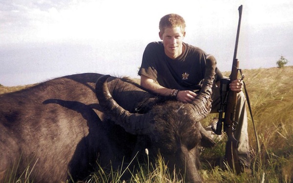 Prince Harry, Royal Family, England, Poaching, Water Buffalo, Animal Cruelty, Hunting