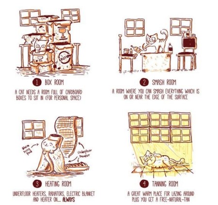 Infographic, cats, çat house, respect your cat day, funny cat memes, funny cat pictures