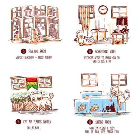 Infographic, cats, çat house, respect your cat day, funny cat memes, funny cat pictures