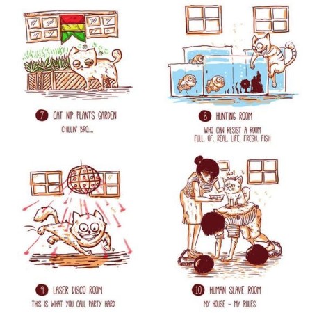 Infographic, cats, çat house, respect your cat day, funny cat memes, funny cat pictures