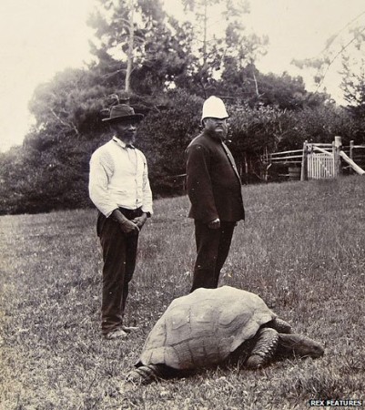 Jonathan at the turn of the century. The 20th century. Photo Credit: Rex Features