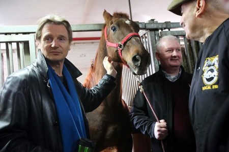 liam neeson, horse carriage, new york, new york city, de blasio, animal cruelty, animal abuse
