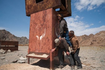 gobi desert, gobi bear, bears, endangered species, endangered animals, rare animals, conservation, threatened species, china, mongolia, maps